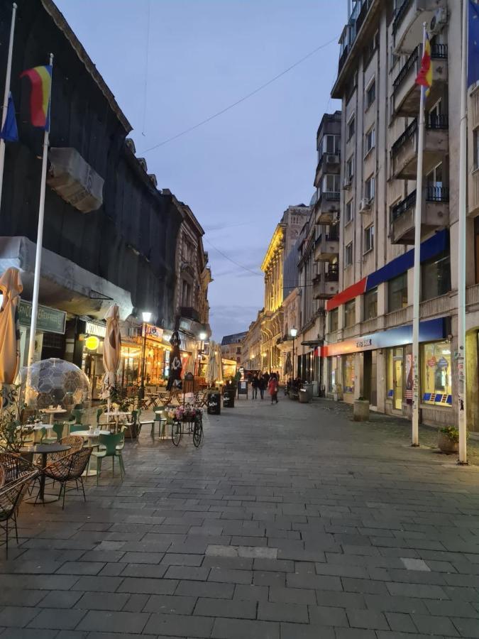 公寓 Color Ap Calea Victoriei 12c 布加勒斯特